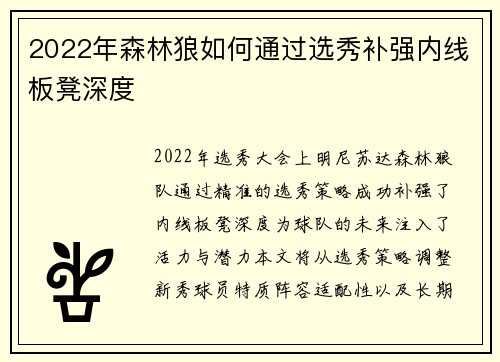2022年森林狼如何通过选秀补强内线板凳深度