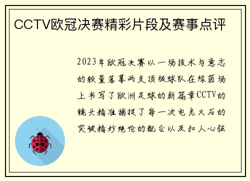 CCTV欧冠决赛精彩片段及赛事点评